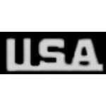 USA SILVER SCRIPT PIN